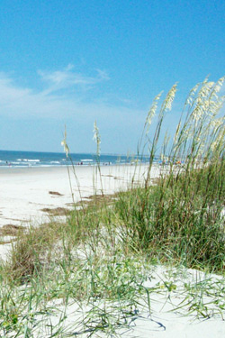 View of the coast from the beach